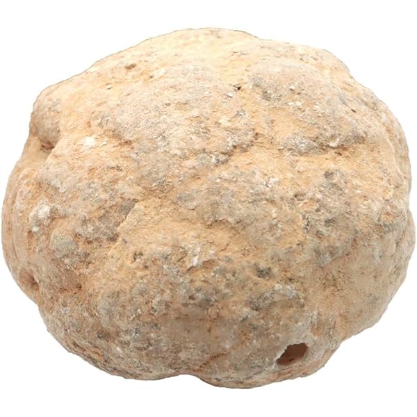 Amazon | KALIFANO Raw AAA+ セレスタイト クリスタルクラスター